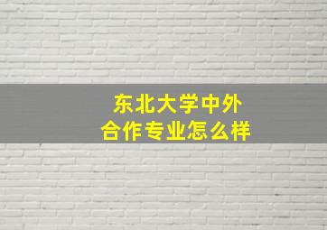 东北大学中外合作专业怎么样