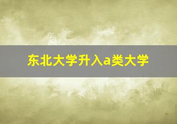 东北大学升入a类大学