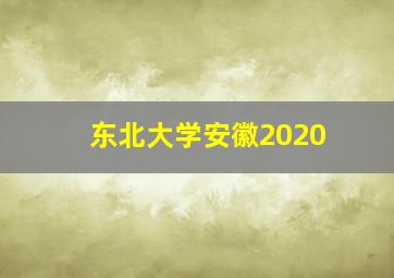 东北大学安徽2020