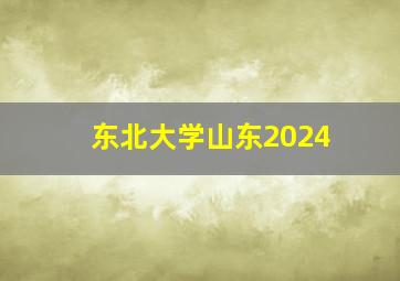 东北大学山东2024