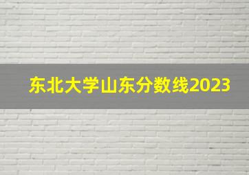 东北大学山东分数线2023