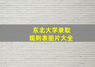 东北大学录取规则表图片大全