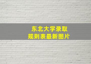 东北大学录取规则表最新图片