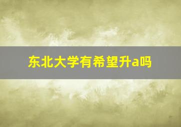 东北大学有希望升a吗