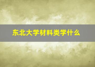 东北大学材料类学什么