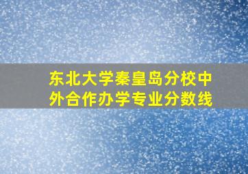 东北大学秦皇岛分校中外合作办学专业分数线