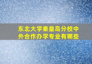 东北大学秦皇岛分校中外合作办学专业有哪些