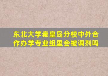 东北大学秦皇岛分校中外合作办学专业组里会被调剂吗