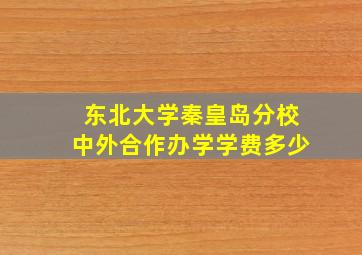 东北大学秦皇岛分校中外合作办学学费多少