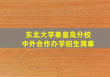 东北大学秦皇岛分校中外合作办学招生简章