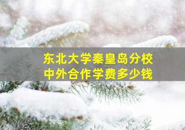 东北大学秦皇岛分校中外合作学费多少钱