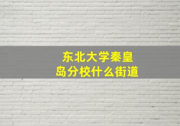 东北大学秦皇岛分校什么街道