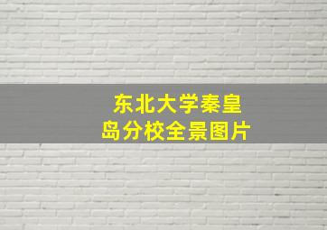 东北大学秦皇岛分校全景图片