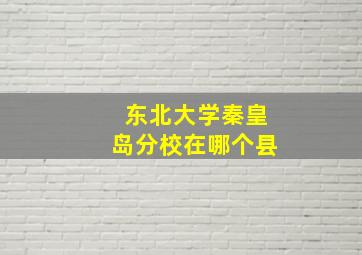 东北大学秦皇岛分校在哪个县