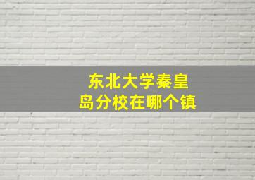 东北大学秦皇岛分校在哪个镇