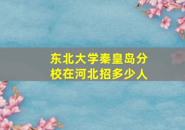 东北大学秦皇岛分校在河北招多少人