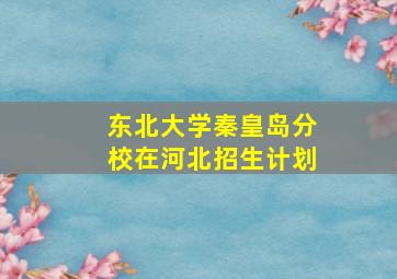 东北大学秦皇岛分校在河北招生计划