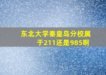 东北大学秦皇岛分校属于211还是985啊