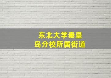 东北大学秦皇岛分校所属街道