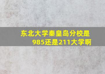 东北大学秦皇岛分校是985还是211大学啊