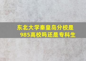 东北大学秦皇岛分校是985高校吗还是专科生