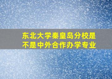 东北大学秦皇岛分校是不是中外合作办学专业