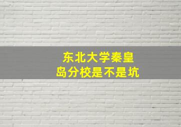 东北大学秦皇岛分校是不是坑