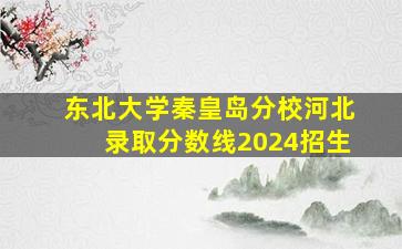 东北大学秦皇岛分校河北录取分数线2024招生