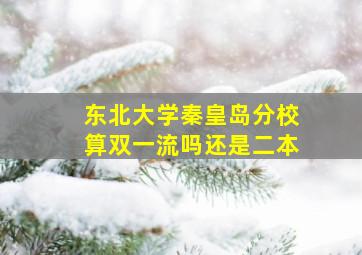 东北大学秦皇岛分校算双一流吗还是二本