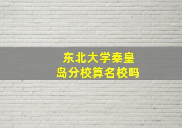 东北大学秦皇岛分校算名校吗