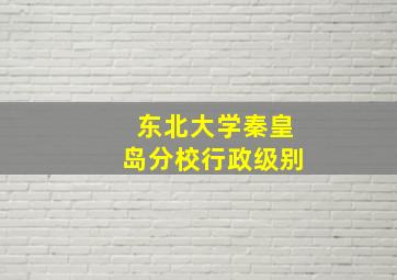 东北大学秦皇岛分校行政级别