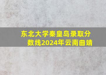 东北大学秦皇岛录取分数线2024年云南曲靖