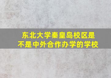 东北大学秦皇岛校区是不是中外合作办学的学校