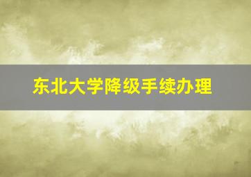 东北大学降级手续办理