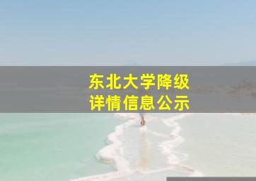 东北大学降级详情信息公示