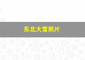 东北大雪照片