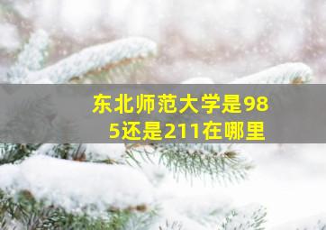 东北师范大学是985还是211在哪里