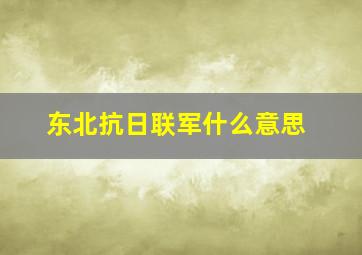 东北抗日联军什么意思