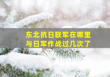 东北抗日联军在哪里与日军作战过几次了