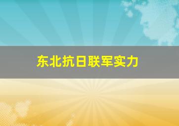 东北抗日联军实力