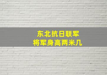 东北抗日联军将军身高两米几