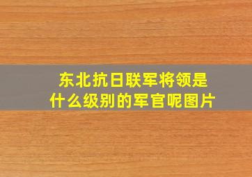 东北抗日联军将领是什么级别的军官呢图片