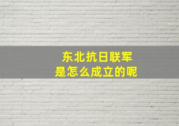 东北抗日联军是怎么成立的呢