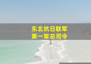 东北抗日联军第一军总司令