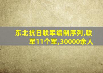 东北抗日联军编制序列,联军11个军,30000余人