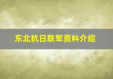 东北抗日联军资料介绍