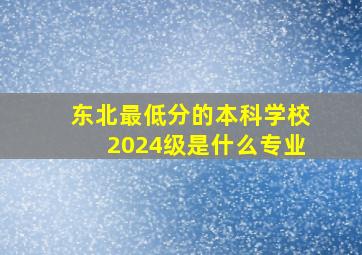 东北最低分的本科学校2024级是什么专业