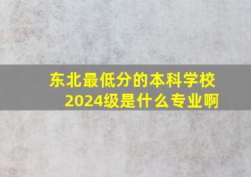 东北最低分的本科学校2024级是什么专业啊