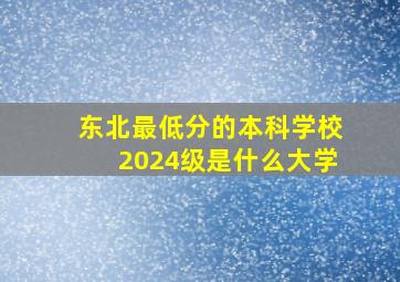 东北最低分的本科学校2024级是什么大学