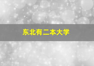 东北有二本大学